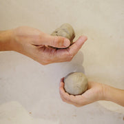 Taller padres e hijos 24 de enero